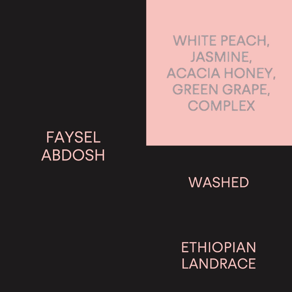 에티오피아 파이셀 압도시ETHIOPIA FAYSEL ABDOSH