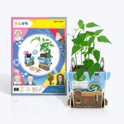 식물의 한살이 식물 키우기 식목일 3D입체퍼즐 과학 자연 식물 관찰일지 창의력놀이 가족활동