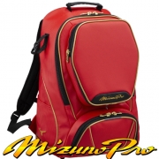 미즈노 프로 백팩 300062 올적 공유