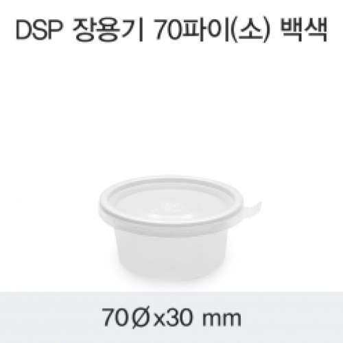 DSP 장용기 70파이(소) 백색