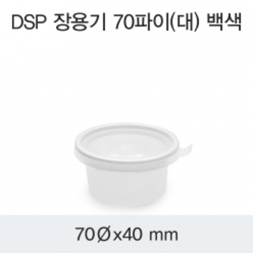 DSP 장용기 70파이(대) 백색