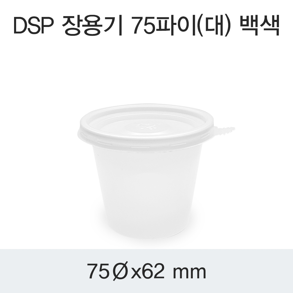 DSP 장용기 75파이(대) 백색