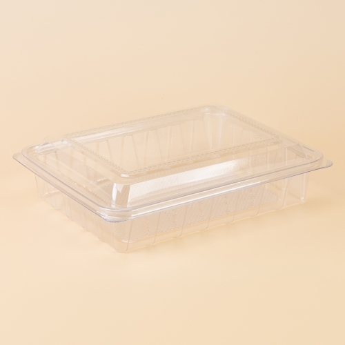 DS-A21 반찬/샐러드/과일용기(투명)