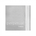 피라스트로 퍼페츄얼 첼로현 첼로선 카덴자 텅스텐 스타크 G C 낱선Pirastro Cello string PERPETUAL CADENZA TUNGSTEN STARK G C