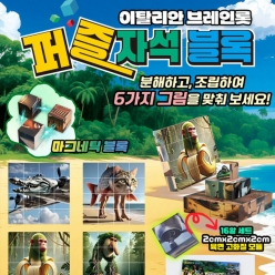 이탈리안 브레인롯 퍼즐 자석 블록