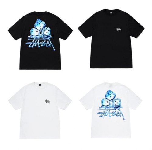 (ステューシー) STUSSY MELTED TEE 1904900 メンズ 半袖 Tシャツ ストック ロゴ stussy トップス コットンメンズ [並行輸入品]