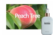 섬유_PEACH TREE, 피치트리