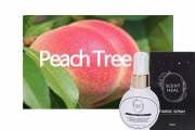 MINI섬유_PEACH TREE, 피치트리