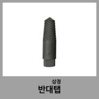 반대탭-삼정