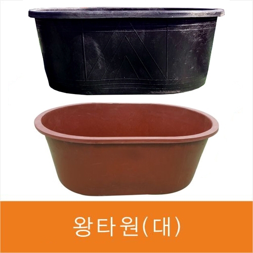 왕타원(대)고무다라(옥상화분)