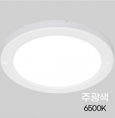 원형 LED 직부등 엣지 20W 주광색 220mm
