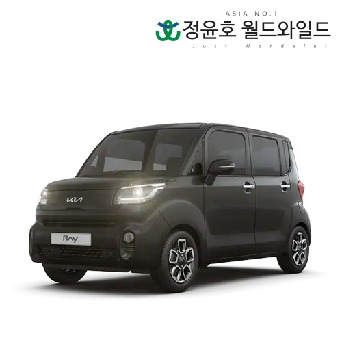 기아 레이 밴 리스 23연식 1.0 1인승 스페셜 가솔린 48개월 법인 전국 2WD