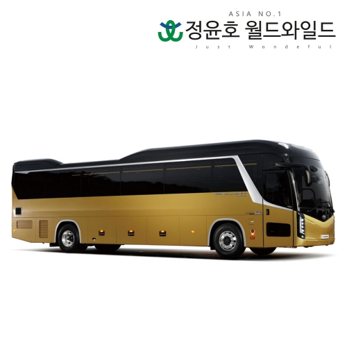 기아 그랜버드 23연식 버스 선샤인 우등 29인승 디젤 60개월 법인 리스 전국 2WD