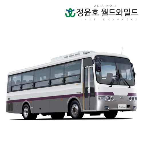 현대 에어로타운 23연식 버스 전세 자가 에어서스펜션 32인승 디젤 60개월 법인 리스 전국 2WD