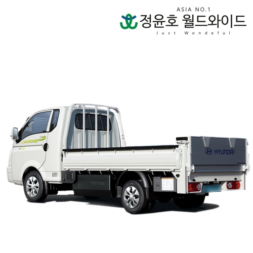 현대 포터2 리스 EV 파워게이트 트럭 전기차 3인승 24개월 23연식 법인 전국 2WD