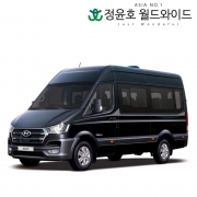 현대 쏠라티 리스 24연식 디럭스 15인승 버스 60개월 디젤 법인 전국 2WD