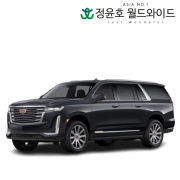 캐딜락 에스컬레이드 ESV 리스 Premium Luxury Platinum 수입차 가솔린 24연식 7인승 60개월 법인 전국 4WD