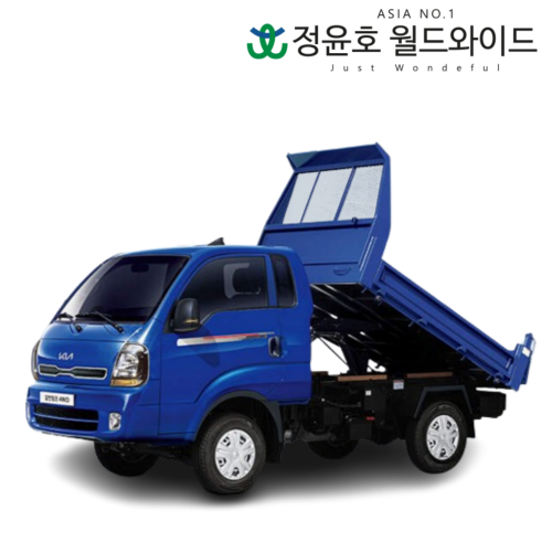 봉고3 일반 덤프 리스 1톤 킹캡 장축 GL 라이트 3인승 LPG 60개월 25연식 법인 전국 4WD