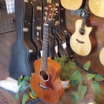 (전화문의시최저가!)Taylor 테일러 지에스미니 마호가니 GS Mini Mahogany 분당공식대리점