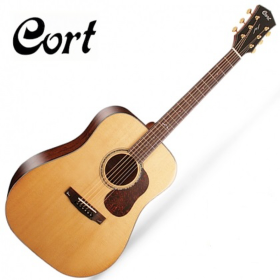 콜트 골드 Gold D6 올솔리드 통기타 최고급 증정품