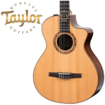 테일러 JMSM 제이슨 므라즈 시그니처 기타 나이론