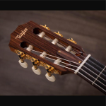 테일러 JMSM 제이슨 므라즈 시그니처 기타 나이론