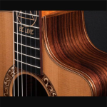 테일러 JMSM 제이슨 므라즈 시그니처 기타 나이론