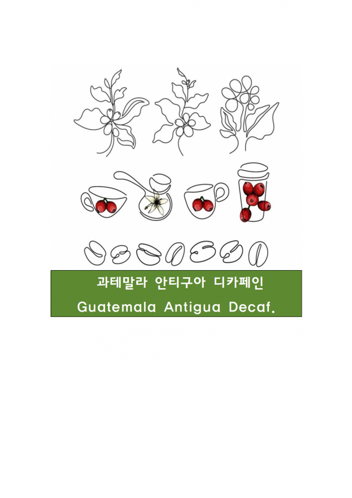 과테말라 안티구아 디카페인