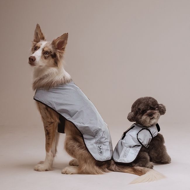 프로비즈 강아지 산책 리플렉트(반사) 자켓