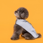 프로비즈 강아지 산책 리플렉트(반사) 자켓