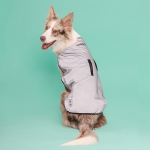 프로비즈 강아지 산책 리플렉트(반사) 자켓