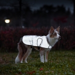 프로비즈 강아지 산책 리플렉트(반사) 자켓