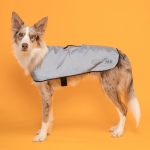 프로비즈 강아지 산책 리플렉트(반사) 자켓