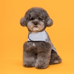 프로비즈 강아지 산책 리플렉트(반사) 자켓