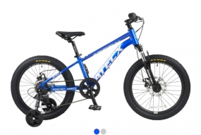 COMFORT 200D 컴포트 20인치 알루미늄 주니어 디스크