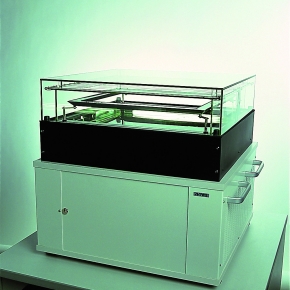 Visualisation of radioactive particles/ diffusion cloud  chamber