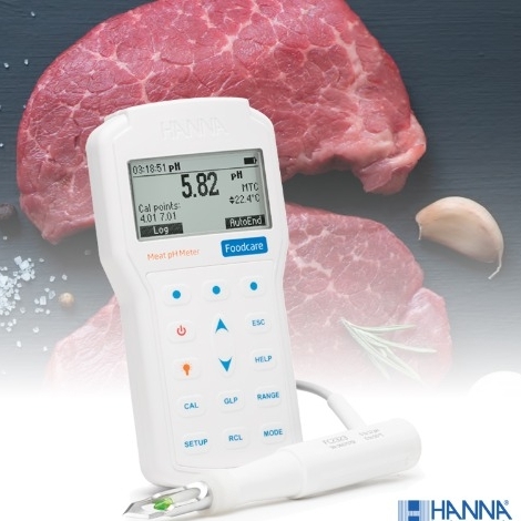 [Hanna] 98163, 휴대용 pH 측정기(육류용), PC연결가능