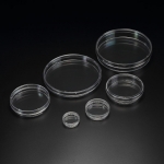 [SPL] Cell Culture Dish 컬쳐디쉬