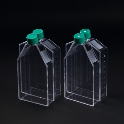 [SPL] Cell Culture Flask, T-Flask