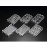 [SPL] 6well Cell Culture Plate