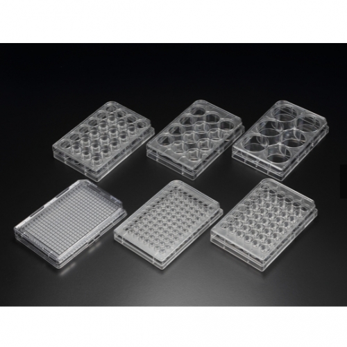 [SPL] 24well Cell Culture Plate