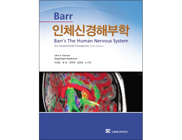 Barr 인체신경해부학 10판