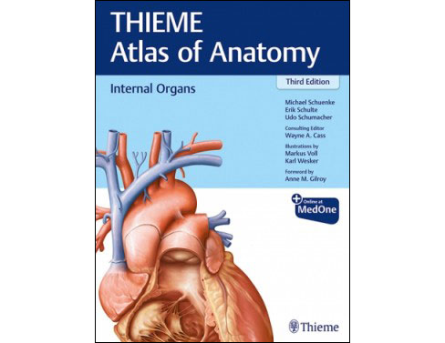 Internal Organs 3e