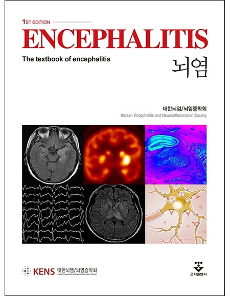 뇌염 _군자출판사