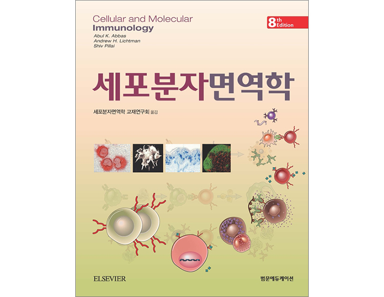 세포분자면역학(8판):Cellular & Molecular Immunology _범문에듀케이션