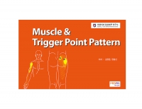 Muscle & Trigger Point Pattern Chart & Book(Upper Limb, Lower Limb) - TPI Point 차트(상지1장,하지1장) _메디안북