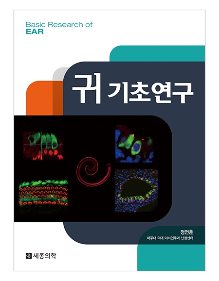 귀 기초연구(Basic research of EAR) _세종의학 귀 기초연구(Basic research of EAR) _세종의학