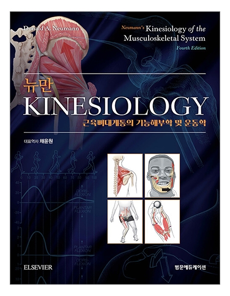 뉴만 Kinesiology 4판:근육뼈대계통의 기능해부학 및 운동학 _범문에듀케이션