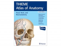 Head Neck and Neuroanatomy 4e