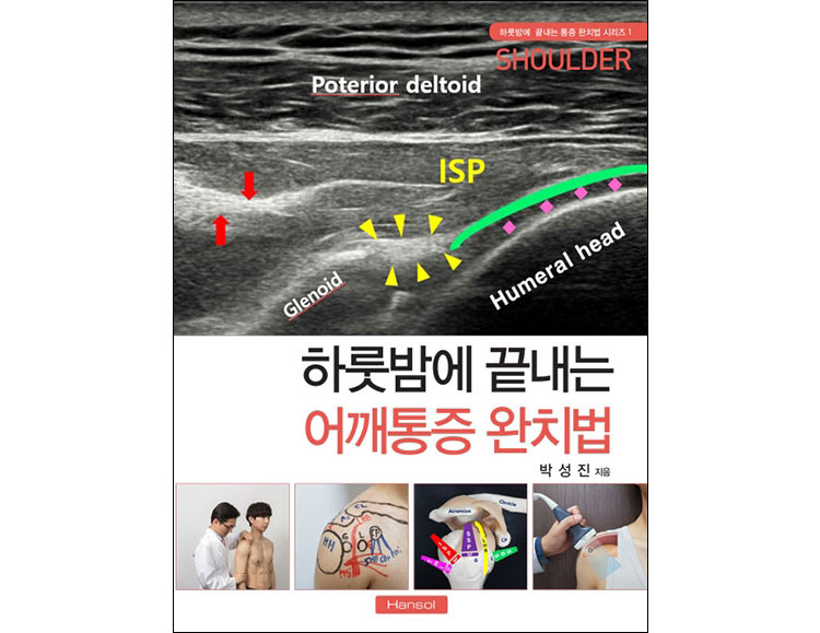 하룻밤에 끝내는 어깨통증 완치법 _한솔의학